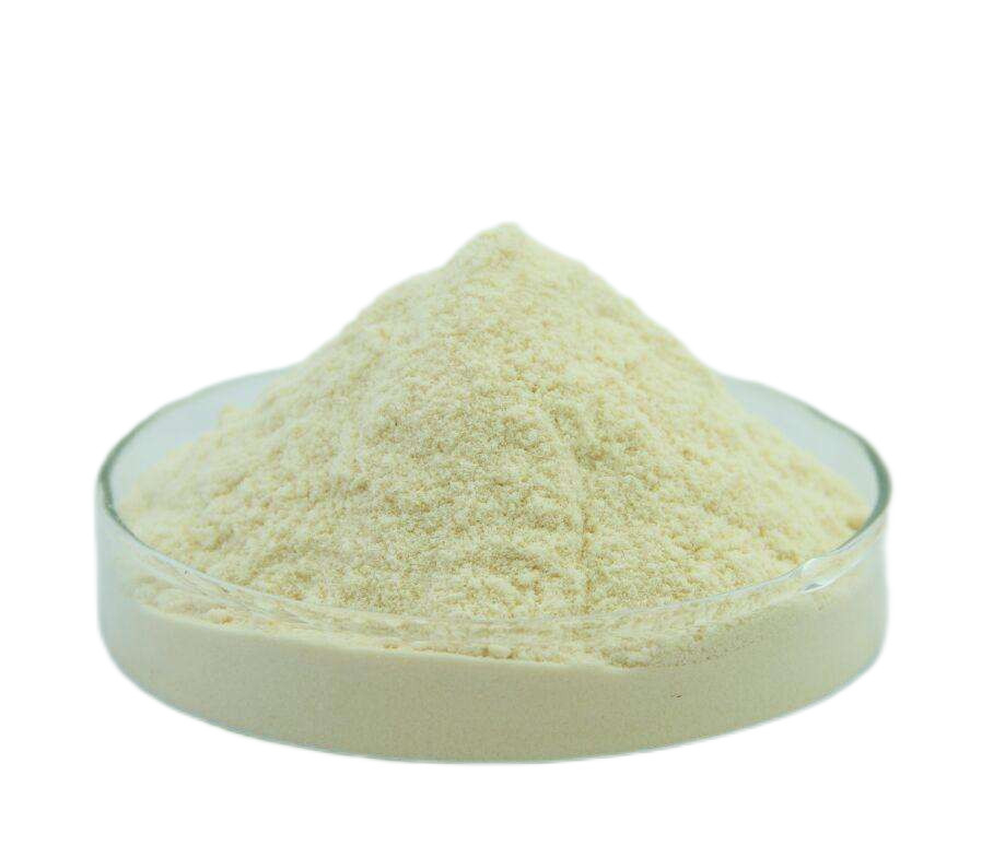 PSD 0.6-1.0 μm Cerium Oxide Powder Micron برای شیشه های نوری